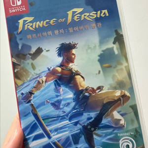 페르시아의 왕자