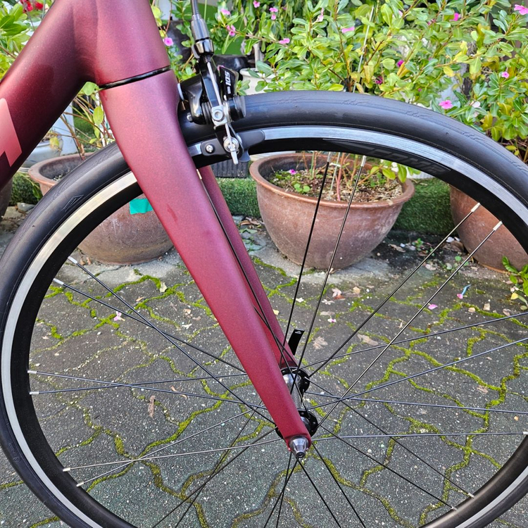 메리다자전거 로드자전거 스컬트라 림 400 버건디 색상--1