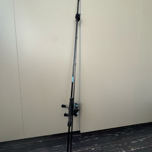 다이와 에메랄다스 낚시대 릴 세트