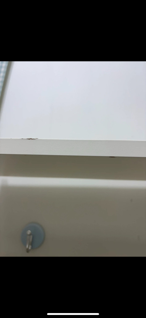 에코우드 수납장 렌지대--5