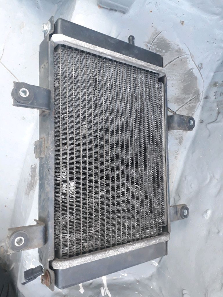 보이져300 라디에이터 이미지