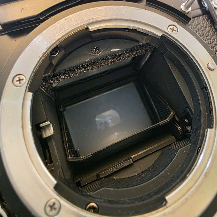 니콘 NIKON NIKOMAT EL 바디 50mm f/1.4 AI 렌즈 필름 카메라 분양--3