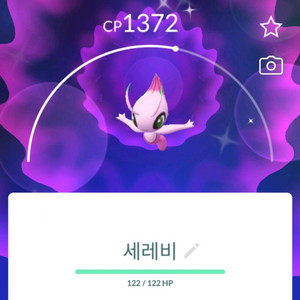 지포시 인증 어버이작 가능한 이로치 세레비