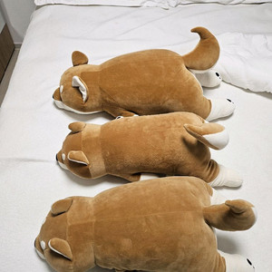 리브하트 네무네무 시바견 인형팝니다 이미지