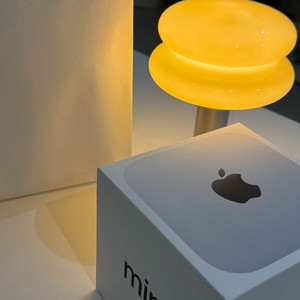 맥 mac미니 mini m4 16,256