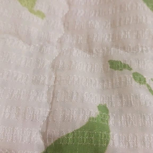 입양하세요 사기 당했습니다.