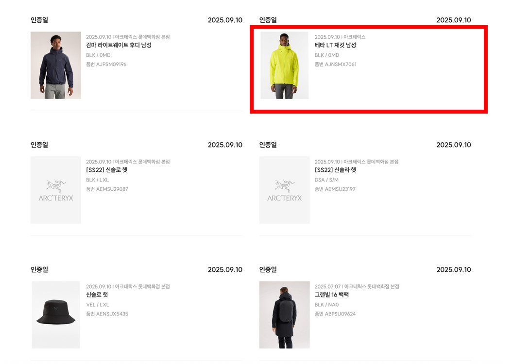 아크테릭스 베타LT 블랙 M--2