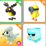 입양하세요 펫 이미지