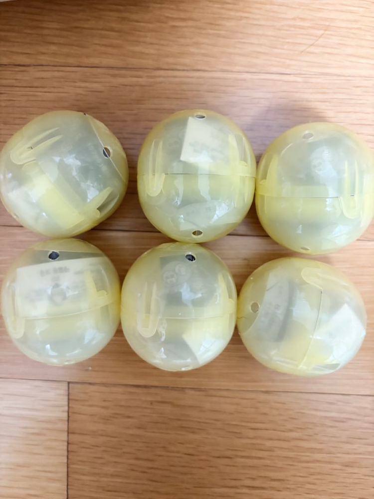 다마고치 메지루시 2탄 어나더 컬러 마메치 마루치 교환 양도--1