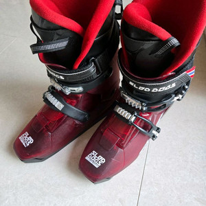 슬레드독 (Hygen) / 숏스키, 인라인스키, 스키에이트, 포티스키