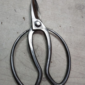 1960 일본 이치요 전지 가위 이미지