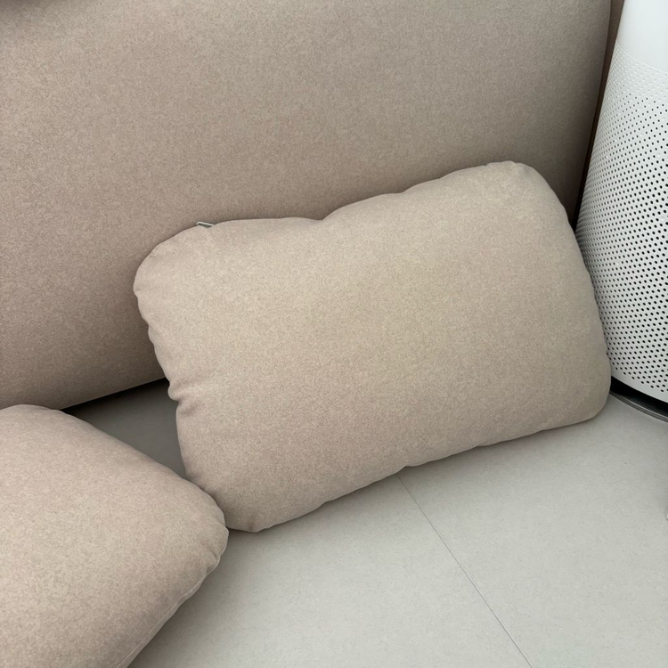 잭슨카멜레온 페브소파쿠션 2개 일괄판매--2