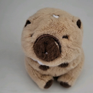 카피바라수달인형 이미지