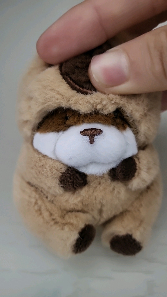 카피바라수달인형 이미지