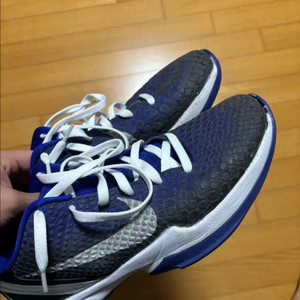 코비 6 퍼플 그라디언트 280