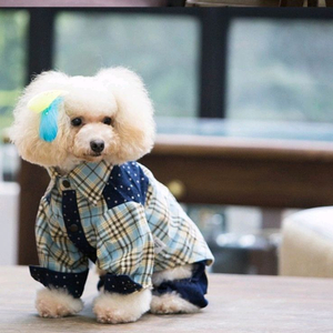 미사용 터치펫 반려견 강아지 체크셔츠 L사이즈