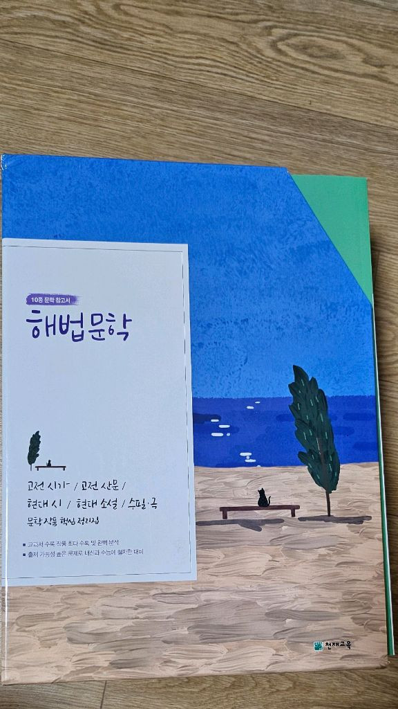 새책)해법 문학 이미지