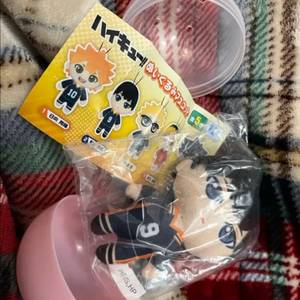 하이큐 카게야마 토비오 마스코트 인형 누이구루미 누이 가챠