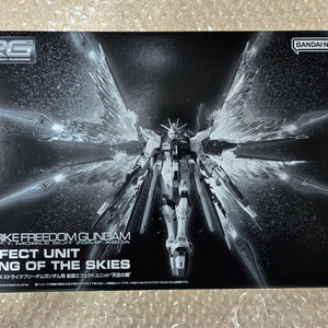 Rg 스트라이크 프리덤 이펙트 유닛 천공의 날개 미개봉