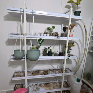 식물 선반 반자동 철제선반 이미지