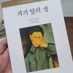자기 앞의 생 - 문학 도서