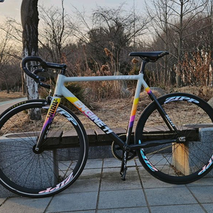 엔진11 크릿디 디럭스 판/대 이미지