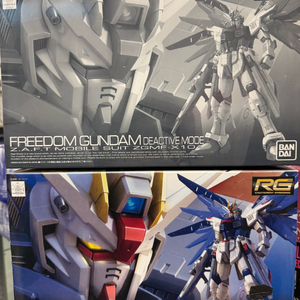RG 프리덤 건담 일반 / 디엑티브 세트