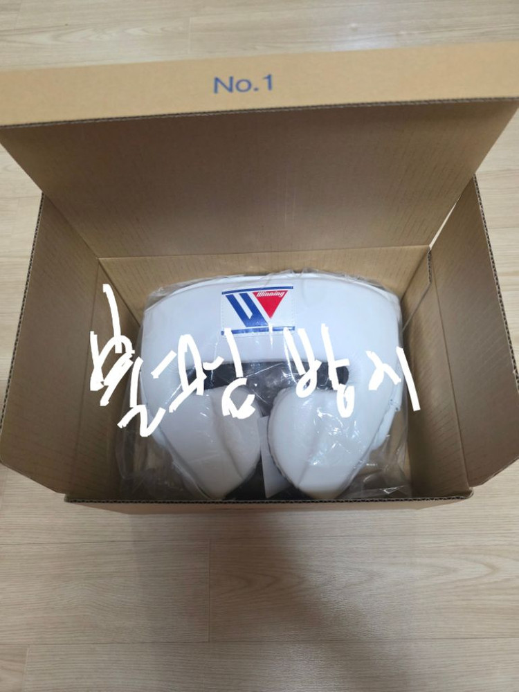 위닝 T자 헤드기어 FG-2900 화이트 M사이즈--5