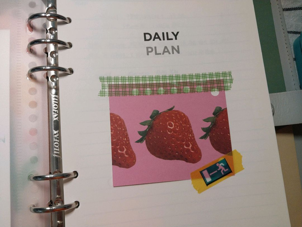 파일로팩스 오리지날 스톤 a5 이미지