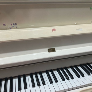 로스앤주니어스 피아노 나눔