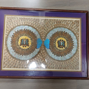 나비날개표본액자