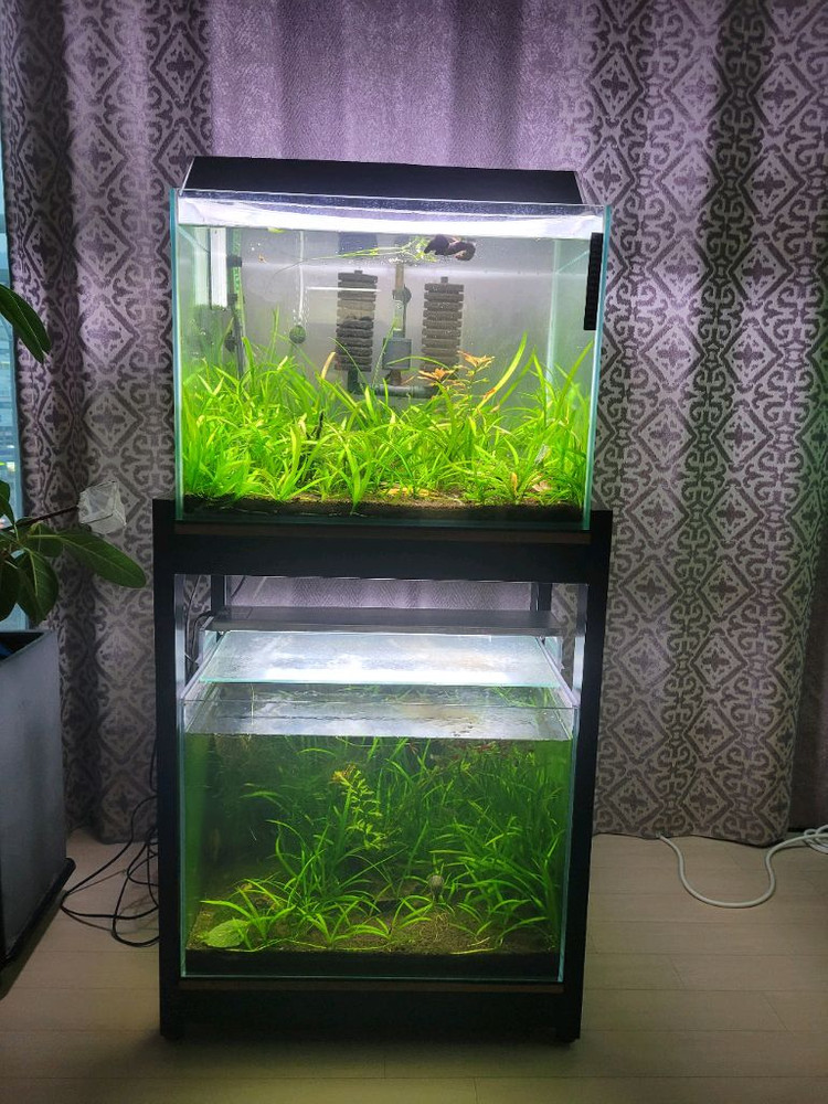 수족관 어항 2자광폭 2단--1