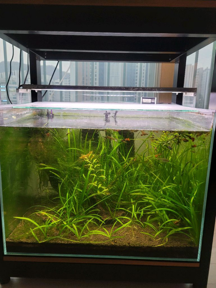 수족관 어항 2자광폭 2단--2