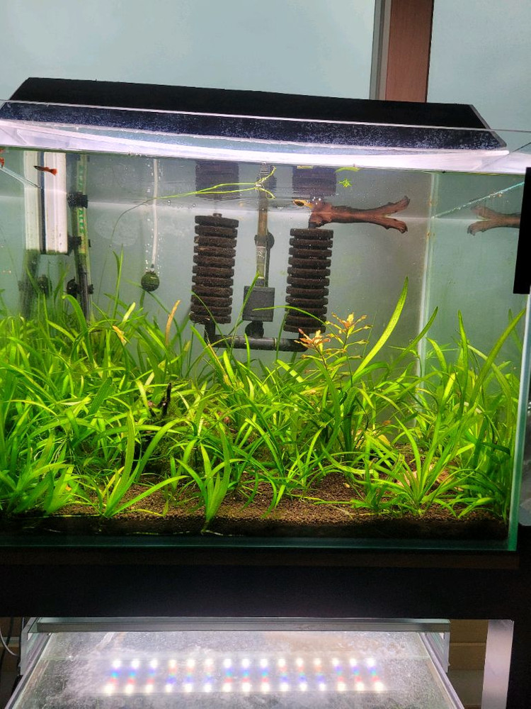 수족관 어항 2자광폭 2단--3