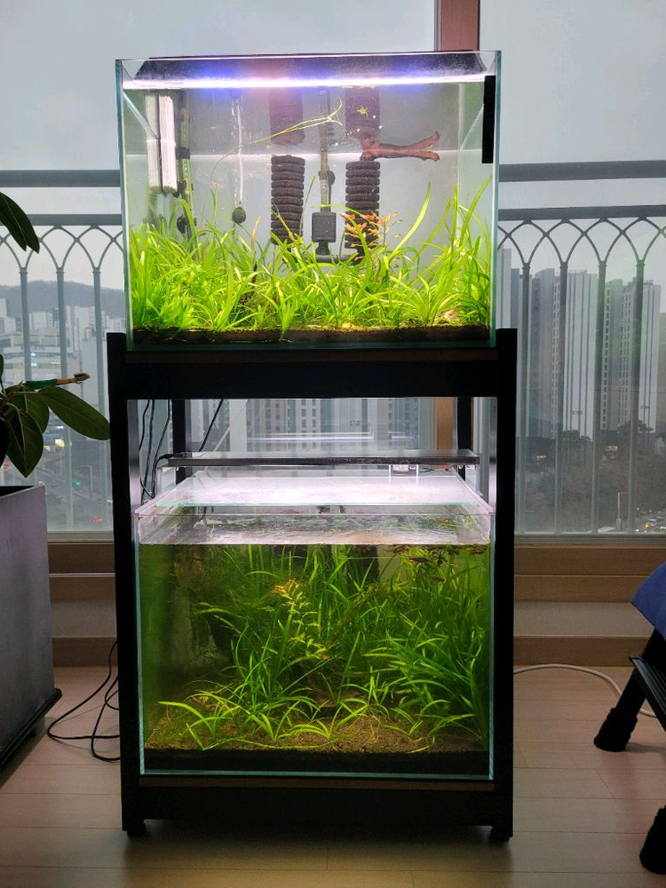 수족관 어항 2자광폭 2단--5