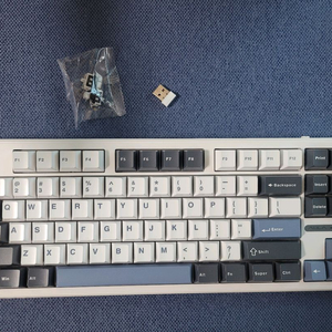 AULA F87 pro 독거미키보드 (회목축)