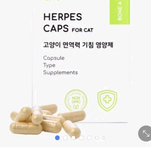 고양이 기침 영양제