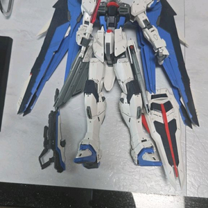 반다이mg프리덤2.0 순조 먹선