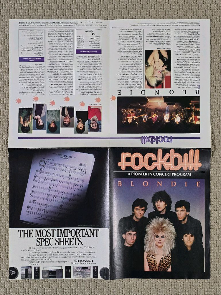 포스터 BLONDIE 블론디 - The Hunter 프로그램 포스터 이미지