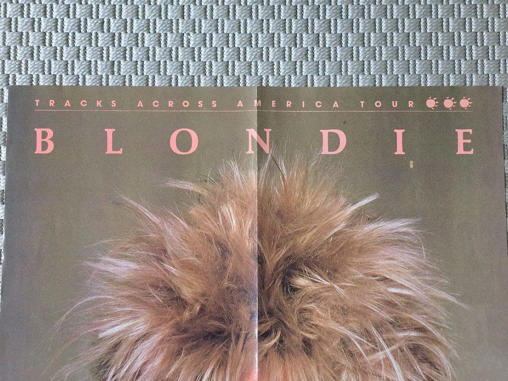 포스터 BLONDIE 블론디 - The Hunter 프로그램 포스터 이미지