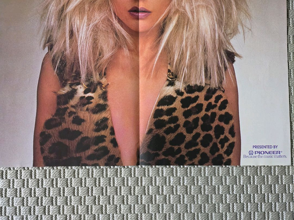 포스터 BLONDIE 블론디 - The Hunter 프로그램 포스터 이미지