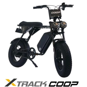 au테크전기자전거 자토바이 배달용전기자전거 전부 특가할인