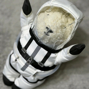 무료증정 신세계백화점 푸빌라인형 열쇠고리