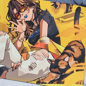 벡시 pa + 하이퍼x스피드 패드 팝니다 이미지