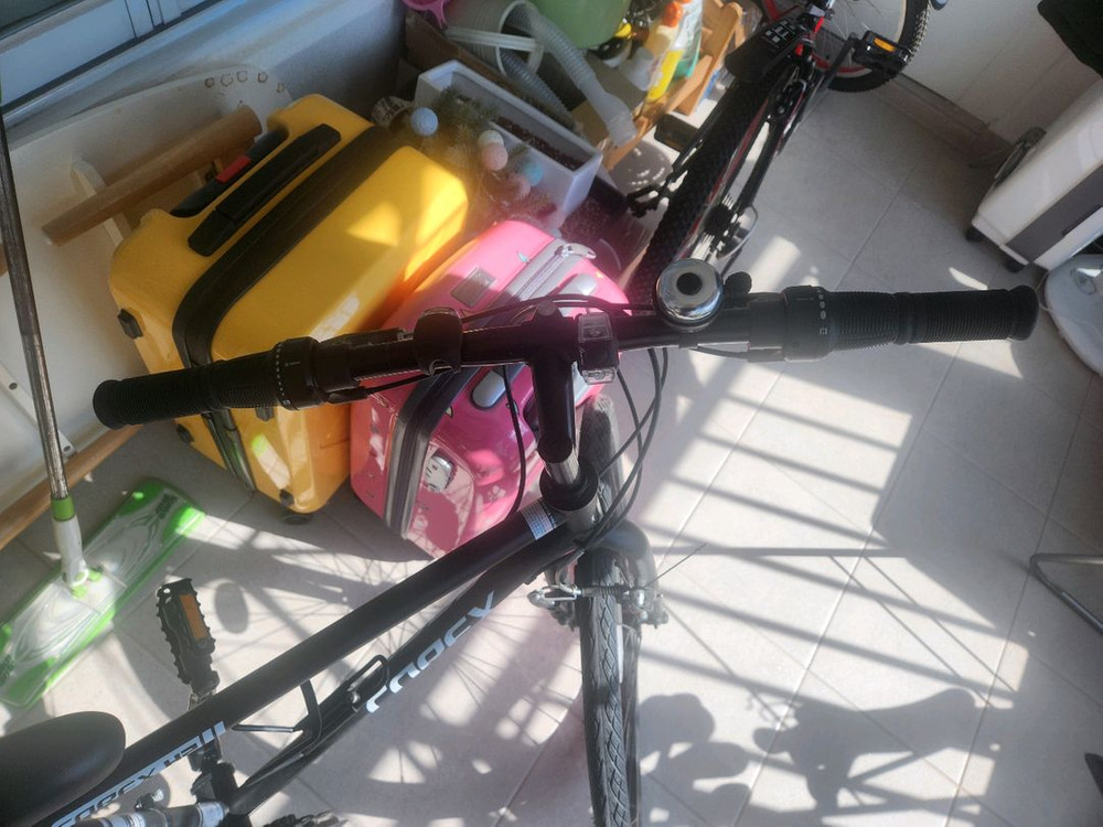 (가격내려요)알톤 코렉스 H2 자전거 초,중등,고등 이미지