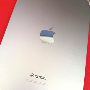 아이패드 미니7 셀룰러 512g