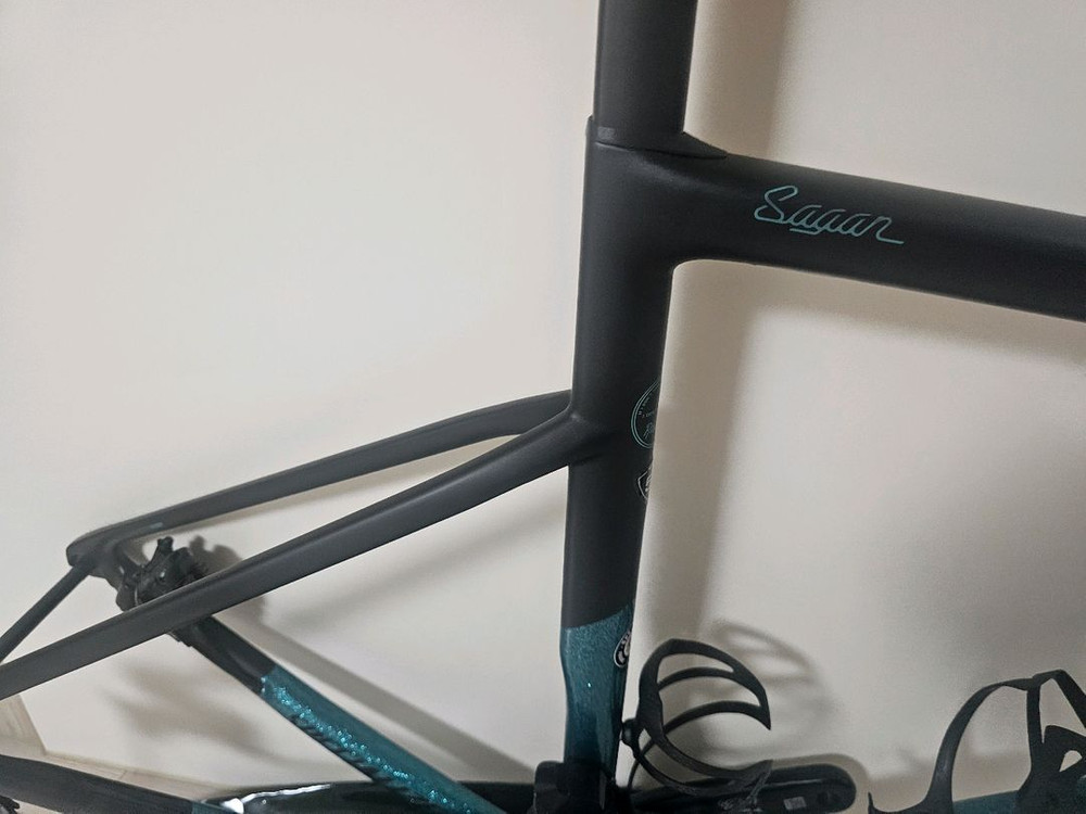 19년식 에스웍스타막 sI6 피터사간 리미티드 에디션 56듀라 9170 전동반차 이미지