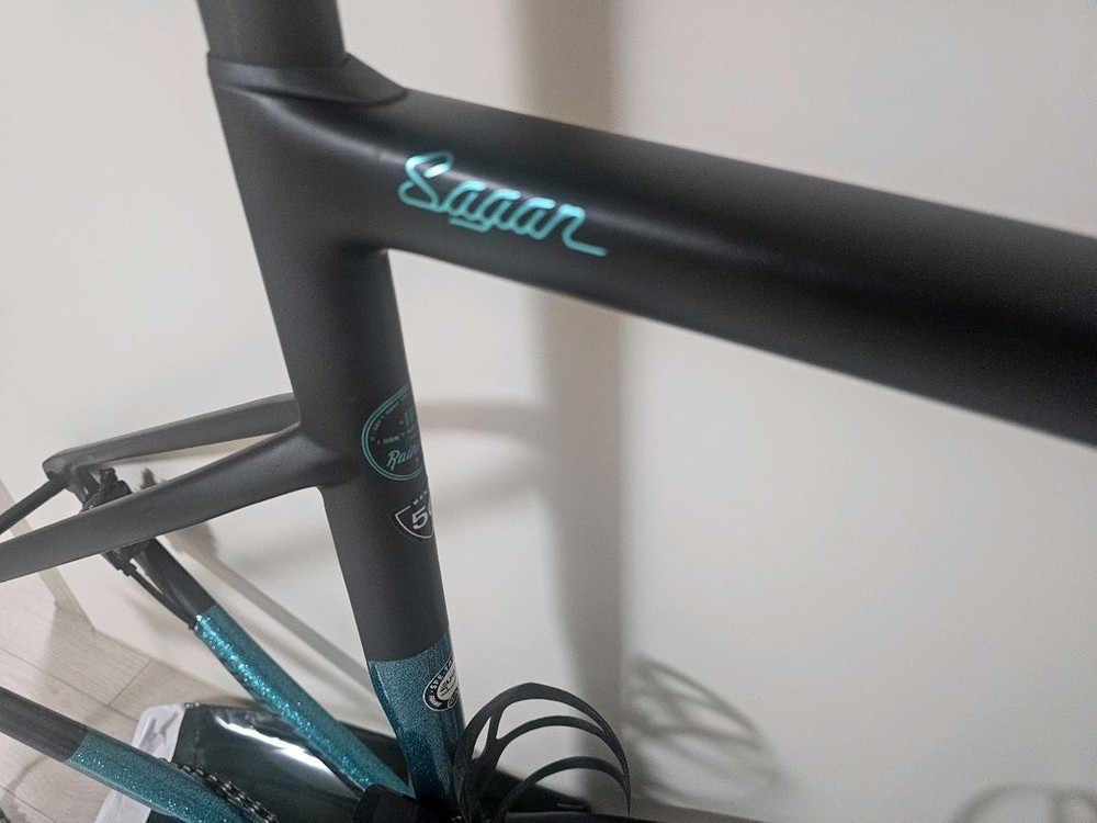 19년식 에스웍스타막 sI6 피터사간 리미티드 에디션 56듀라 9170 전동반차 이미지