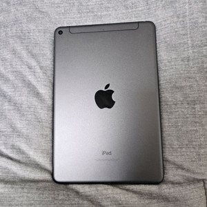 아이패드 미니5세대 셀룰러 256gb