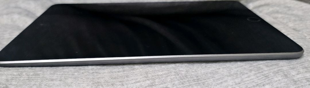 아이패드 미니5세대 셀룰러 256gb--3